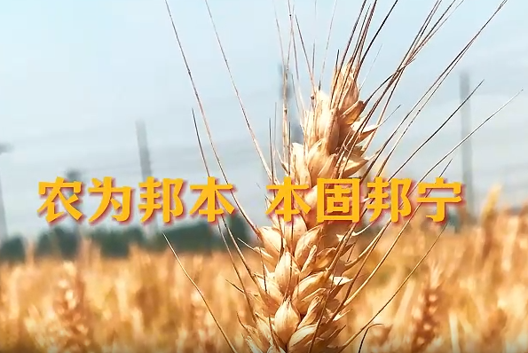 航拍工程公司——鹤壁乡村振兴项目